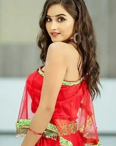 Call Girls Service Pennagaram